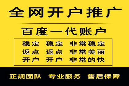 竞价代运营成功案例解析